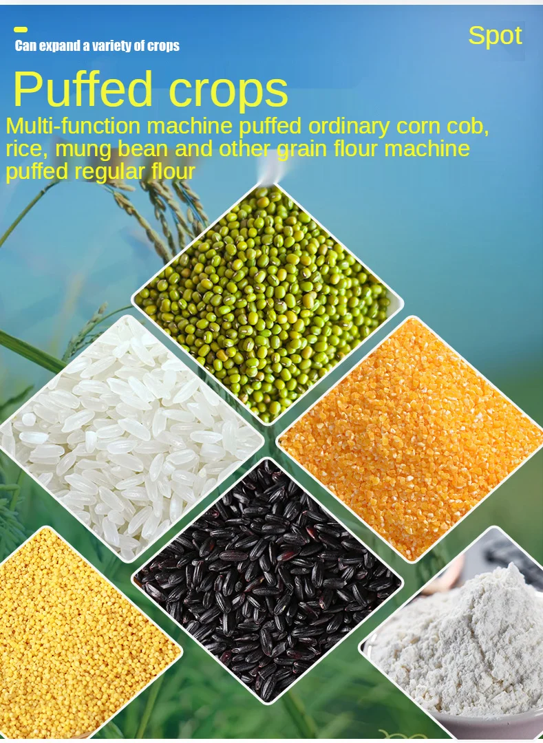 Hot Selling  Small Business Us - Food Snacks Business avaliação e preço